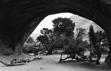 Navajo Arch